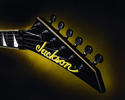 Jackson Pro Series Randy Rhoads RR24